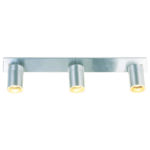 Exterior 3 Light 304 Stainless Steel - EXT3LT304